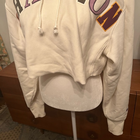 Copy paste champion cropped hoodie - Picture 3 of 6